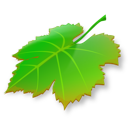 Breeze Icon